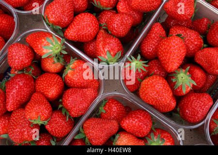 Fragola Foto Stock