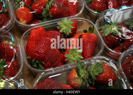 Fragole Foto Stock