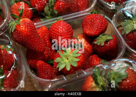 Fragole Foto Stock