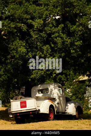 Vecchio camion del Ford Foto Stock