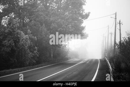 Vuoto autostrada rurale in autunno mattinata nebbiosa, in bianco e nero stilizzato retrò foto Foto Stock