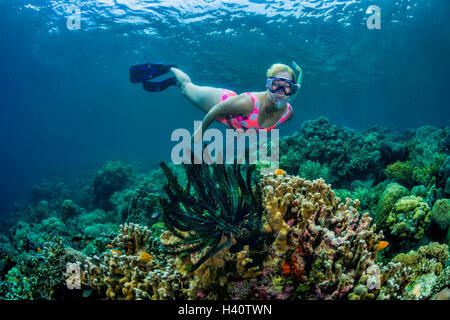 Femmina snorkel diver esplorare tropical Coral reef Foto Stock