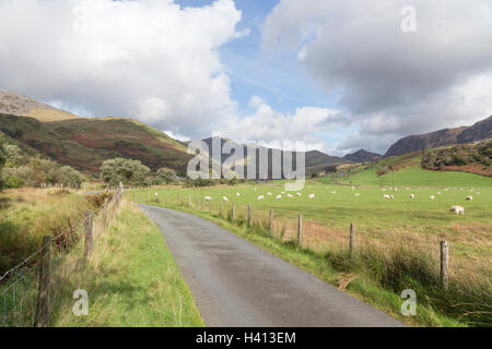 La testa di Cwm Pennant Valley e a distanza l Nantlle Ridge, Snowdonia National Park, North Wales, Regno Unito Foto Stock