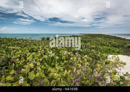 Riserva ecologica di Isla Contoy in Riviera Maya (Messico) Foto Stock