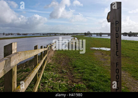 Acqua di inondazione la posa di destra attraverso il Curry Moor e fieno Moor vicino a nord di curry in Somerset livelli durante le inondazioni nel 2014 Foto Stock