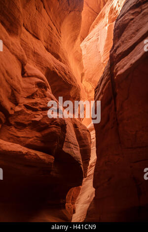 Slot rosso canyon nel sud dello Utah Foto Stock
