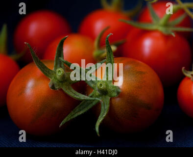 Cresciuto in casa di pomodori ciliegini. Foto Stock