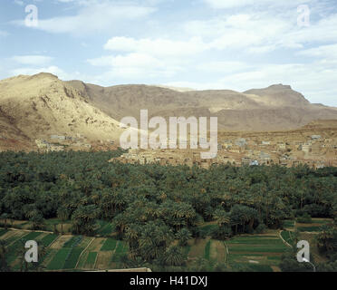 Il Marocco, Valle di Draa, Todra gulch, luogo, palme, visualizzare, Northwest Africa, Alto Atlante, il paesaggio di montagna, montagne, gulch, Gole di Todra, villaggio di montagna, case, case, campi, crescita, in remoto, vista locale Foto Stock