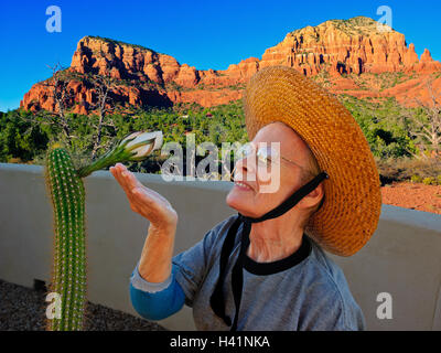 Donna anziana che guarda il fiore di cactus della torcia d'oro, Arizona, Stati Uniti Foto Stock