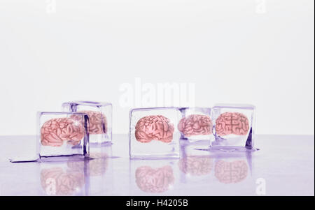 Cervelli congelati in cubetti di ghiaccio Foto Stock