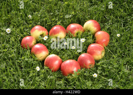 Prato, mele, rosso, array, a forma di cuore manna, frutta, pomes, Malus spec., frutti maturi, nutrizione sana, ricca di vitamine, Nutrizione consapevole, icona, cuore, amore, cade nell'amore, il raccolto, il giorno del Ringraziamento, still life, la fotografia del prodotto Foto Stock