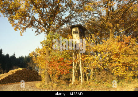 Bordo della foresta, seduta alta, autunno, Prato, bordo campo, foresta, cacciatore sedile, caccia alta sedile, si affacciano, sede di osservazione, simbolo hunt, osservazione, stagione autunnale, Foto Stock