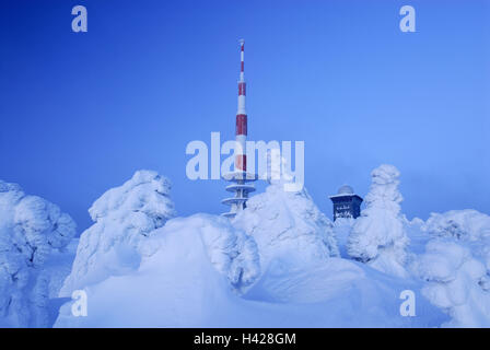 Germania, Sassonia-Anhalt, Harz, vertice forfettaria, grumo hostel, radio, montante, Schneeverwehungen, alberi paesaggio invernale, Foto Stock