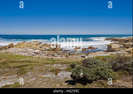 Sud Africa, west cape, Capo di Buona Speranza Riserva Naturale, costa, paesaggi, mare, Africa, la provincia del Capo, Cape Peninsula, riserva naturale, riserva naturale riserva naturale, Game Reserve, bay, paesaggi costieri, surf, piante, arbusti, spiaggia, vegetazione, solitudine, turismo, destinazione destinazione di vacanza, natura, larghezza, distanza, Horizon, nessuno, Foto Stock