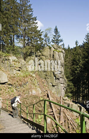 Germania, Bassa Sassonia, Harz, Okertal, bile formazioni, sentiero, uomo, nessun modello di rilascio, paesaggi, natura, rock, ripidamente, scogliera, alberi, ringhiere, modo, persona, esterno, Foto Stock