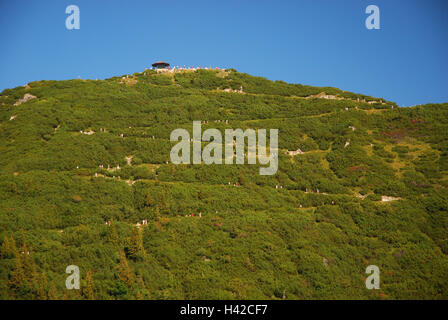 In Germania, in Baviera, Duke's stato, Wanderer, strade a serpentina, pineta, Foto Stock