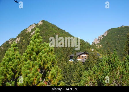 In Germania, in Baviera, Duke's stato, foreste di abete rosso, capanna, Foto Stock