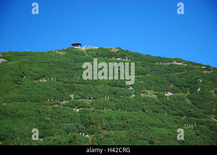 In Germania, in Baviera, Duke's stato, Wanderer, strade a serpentina, pineta, Foto Stock