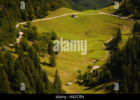 In Germania, in Baviera, Duke's stato, prateria alpina, Foto Stock