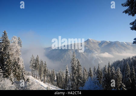 L'Austria, paese di Salisburgo, Flachau, inverno legno, Foto Stock