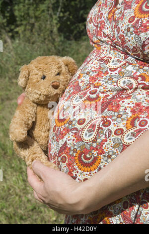 In stato di gravidanza, addome, touch, Teddy bear, attesa, vista laterale, dettaglio Foto Stock