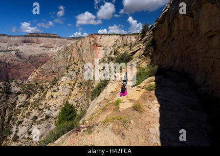 Vista dal punto di osservazione, Zion National Park, situato nel sudovest degli Stati Uniti, nei pressi di Springdale, Utah. Foto Stock