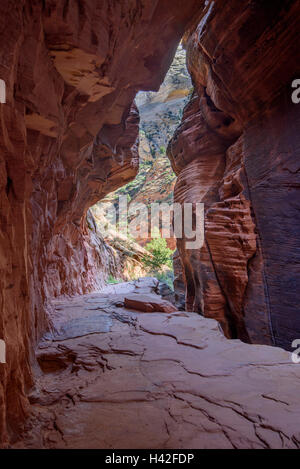 Hidden Canyon Zion National Park, situato nel sudovest degli Stati Uniti, nei pressi di Springdale, Utah. Foto Stock