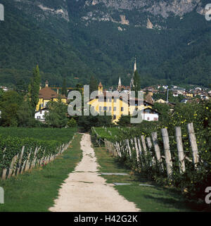 L'Italia, Alto Adige, Weinstrasse, a Caldaro, vista locale, campi, viticoltura, modo, Europa, Sud, Europa, Repubblica Italiana, Italia settentrionale, Alto Adige Lago di Caldaro sulla Strada del Vino, area vitivinicola, luogo, luogo turistico, chiese, agricoltura, vino, coltivazione, vigne, street, vicolo del paese Foto Stock