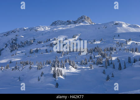 Austria Vorarlberg, Bregenzer legno, Hochtannbergpass, Saloberkopf, paesaggio invernale, Foto Stock