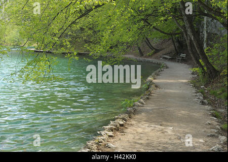 Parco nazionale dei laghi Plitvicer, modo, Lika-Senj Affitto, Croazia, Foto Stock