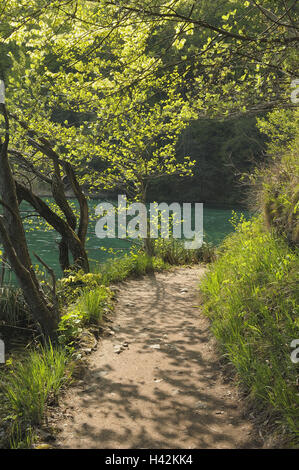 Parco nazionale dei laghi Plitvicer, modo, lago, Lika-Senj Affitto, Croazia, Foto Stock