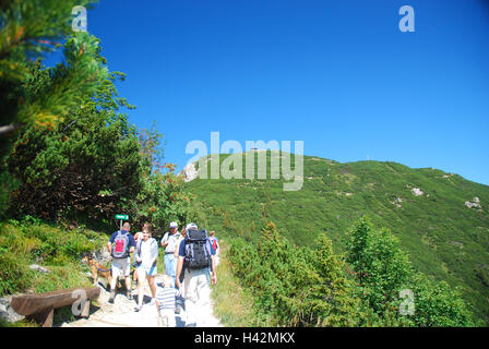 In Germania, in Baviera, Duke's stato, Wanderer, estate, nessun modello di rilascio, Foto Stock