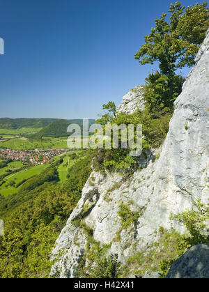 Germania, Baden-Württemberg, bagno, Überkingen, living, riserva naturale, Hausener parete, vista, parrocchia, luogo, health resort, luogo di interesse, destinazione, rock, scogliera, Filstal, Giura, calcare, riserva naturale incubo sveva, legno, parete, legge bianco, la geologia, la natura, alberi, soleggiato, scenario, collina, cielo blu, senza nuvole, sole, Foto Stock