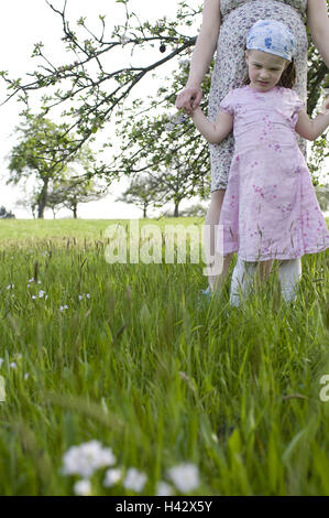 Prato, donna, giovane, in gravidanza, ragazza, mani, paesaggio, tenendo le mani, estate Foto Stock