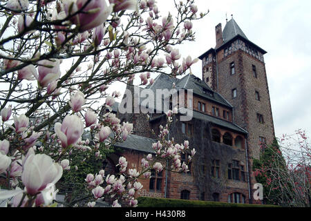 Germania, Saarland, Mettlach, società Villeroy & Boch, guest house di bloccaggio angolo della Saar, parco, molla, Europa house, un edificio in mattoni, edificio di mattoni, stile architettonico, architettura, si accumula nel 1902-03, hotel business, turismo, luogo di interesse al di fuori, Foto Stock