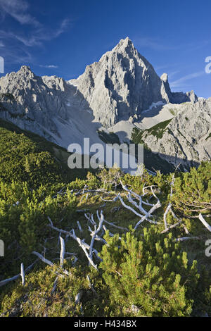 Austria, Salisburgo, tetto di pietra, Foto Stock