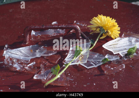 Blossom, crisantemo, vaso di vetro, rotte, cocci, giacciono, fiori, fiori recisi, decorazione, rotto, sfortuna, cocci di vetro, pericolo di pregiudizio, rotte, frantumato, Foto Stock