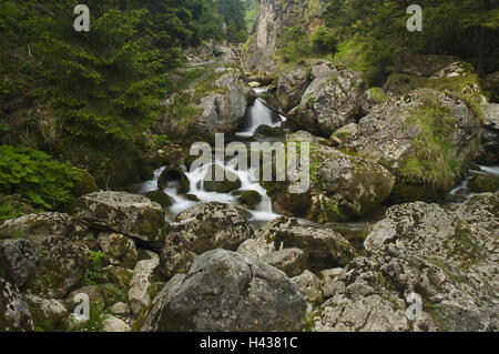 Ruscello di montagna Varinka, Stefanova, parco nazionale "ala Fatra', provincia Zilina, Slovacchia, Foto Stock