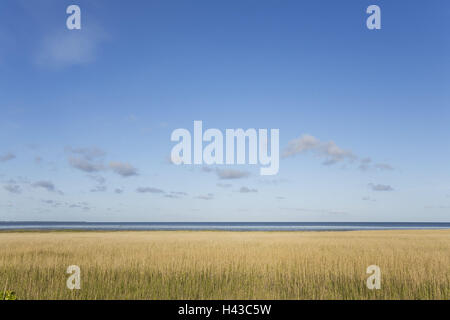 Germania, Schleswig-Holstein, Sylt, Rantum, Hörnum, paesaggio, vista mare, il Mare del Nord, isola del Mare del Nord Foto Stock