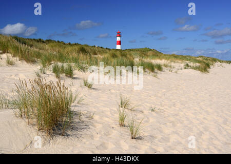 Elenco West il faro in dune di sabbia, elenco, Sylt, Nord Isole Frisone, Frisia settentrionale, Schleswig-Holstein, Germania Foto Stock