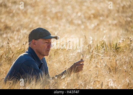 L'agricoltore caucasica accovacciato nella verifica del campo di raccolto Foto Stock