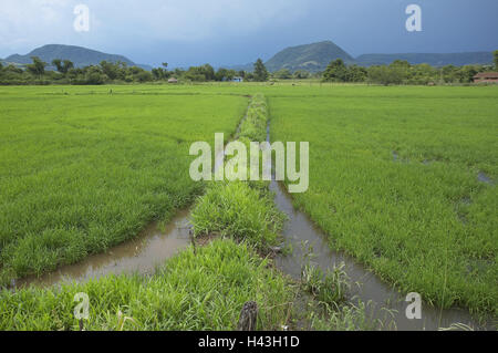 Il Brasile, Rio grandee Th Sul, Santa Maria, campo di viaggio, water jump, Sud America, Südbrasilien, crescendo di viaggio, Viaggi su Acqua campo, monoculture, grano, massa alimentare, agricoltura, Gaucholand, temporale il cielo, foto panoramica, nuvole malinconicamente, deserte, in trincea, acqua di irrigazione, Foto Stock