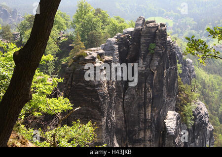 Germania, Svizzera Sassone, Svizzera Sassone, bastione, formazioni di bile, Foto Stock