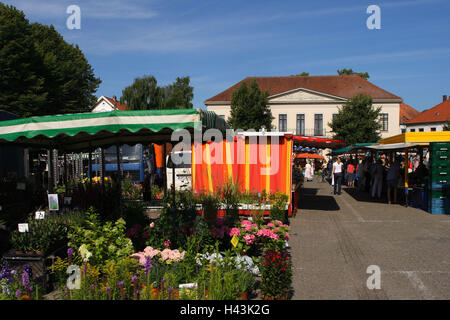 Germania, Bassa Sassonia, Oldenburg, cavallo il mercato, le bancarelle del mercato, Foto Stock