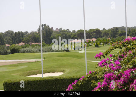 Turchia, Belek, campo da golf "ultan', vacanze, turismo, tempo libero, sport Golf sport, impianti impianto da golf e fondi erbosi, ostacolo, bunker, bougainvillaea, quelli rosa, Foto Stock