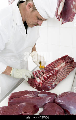 Macellerie, coltelli, cervi, disassemblare, guanti elastici, igiene, macelleria, cervi, selvaggina selvatica macellaio, carne cruda, preparazione, persona, uomo, occupazione, lavoro, guanti, wild raffreddamento, camera selvatici selvatici ordine di igiene, pezzo arrosto, arrosti di carne di cervo, tagliare, lavoro di cerio, pezzi di carne, differentemente, ausbeinen, nervature, piedi, Foto Stock