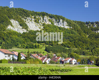 Germania, Baden-Württemberg, bagno, Überkingen, living, riserva naturale, Hausener parete, case, parrocchia, luogo, health resort, luogo di interesse, case residenziali, rocce, scogliera, Filstal, Giura, calcare, riserva naturale incubo sveva, legno, parete, legge bianco, la geologia, la natura, alberi, soleggiato, Foto Stock