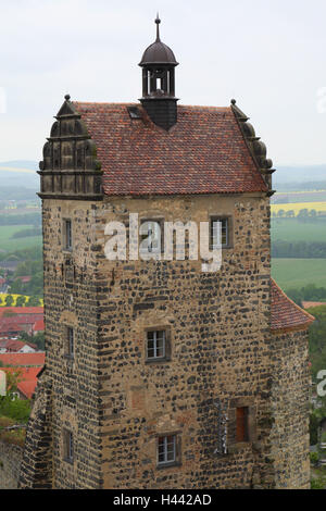 Germania, Svizzera Sassone, Stolpen, castello, Torre, dettaglio Foto Stock