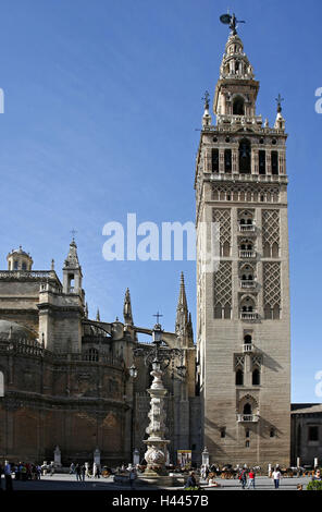 Spagna, Andalusia, Siviglia, cattedrale, Torre campanaria, Europa, storico, centro citta', spazio Giralda, Steeple, landmark, torre, statua in bronzo, edificio, minareto, architettura, luogo di interesse, maurisch, come di un Cristiano, Late-Gothic, plataresk, Rinascimento, Foto Stock