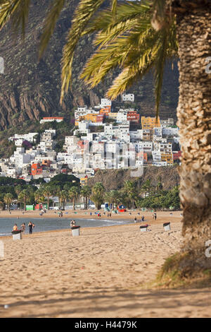 Spagna Isole Canarie, Tenerife, Santa Cruz, Playa de Las Teresitas, San Andres, palme, Foto Stock